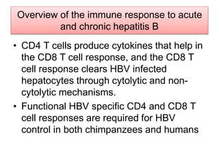 Overview of the immune response to acute
and chronic hepatitis B
• CD4 T cells produce cytokines that help in
the CD8 T cell response, and the CD8 T
cell response clears HBV infected
hepatocytes through cytolytic and non-
cytolytic mechanisms.
• Functional HBV specific CD4 and CD8 T
cell responses are required for HBV
control in both chimpanzees and humans
 