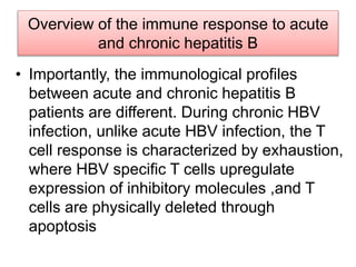 Overview of the immune response to acute
and chronic hepatitis B
• Importantly, the immunological profiles
between acute and chronic hepatitis B
patients are different. During chronic HBV
infection, unlike acute HBV infection, the T
cell response is characterized by exhaustion,
where HBV specific T cells upregulate
expression of inhibitory molecules ,and T
cells are physically deleted through
apoptosis
 