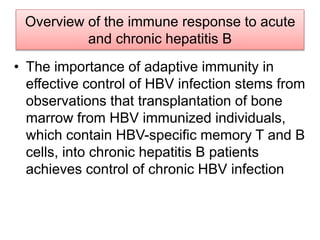 Overview of the immune response to acute
and chronic hepatitis B
• The importance of adaptive immunity in
effective control of HBV infection stems from
observations that transplantation of bone
marrow from HBV immunized individuals,
which contain HBV-specific memory T and B
cells, into chronic hepatitis B patients
achieves control of chronic HBV infection
 