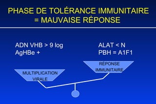 PHASE DE TOLÉRANCE IMMUNITAIRE = MAUVAISE RÉPONSE   ADN VHB > 9 log ALAT < N   AgHBe + PBH = A1F1     MULTIPLICATION VIRALE RÉPONSE IMMUNITAIRE 