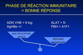 PHASE DE RÉACTION IMMUNITAIRE = BONNE RÉPONSE   ADN VHB < 9 log ALAT > N   AgHBe +/- PBH > A1F1     MULTIPLICATION VIRALE RÉPONSE IMMUNITAIRE 