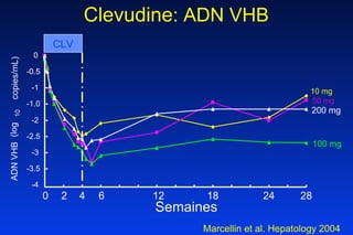 Clevudine : ADN VHB  Marcellin et al. Hepatology 2004 -4 -3.5 -3 -2.5 -2 -1.0 -1 -0.5 0 0 2 4 6 12 18 24 28 ADN VHB  10 mg   50 mg  100 mg  200 mg  Semaines CLV (log 10 copies/mL) 