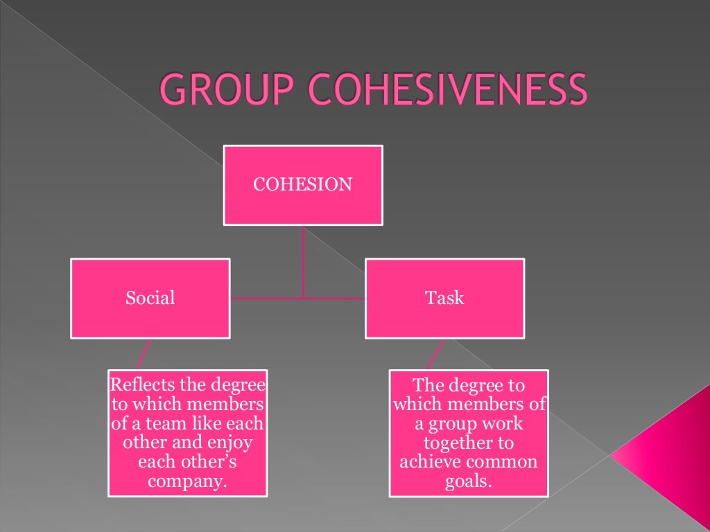 Group Development , Group Cohesiveness.