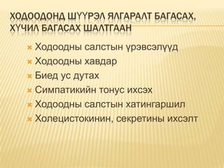ХОДООДОНД ШҮҮРЭЛ ЯЛГАРАЛТ БАГАСАХ,
ХҮЧИЛ БАГАСАХ ШАЛТГААН
Ходоодны салстын үрэвсэлүүд
 Ходоодны хавдар
 Биед ус дутах
 Симпатикийн тонус ихсэх
 Ходоодны салстын хатингаршил
 Холецистокинин, секретины ихсэлт


 