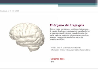 Hemisferios Cerebrales