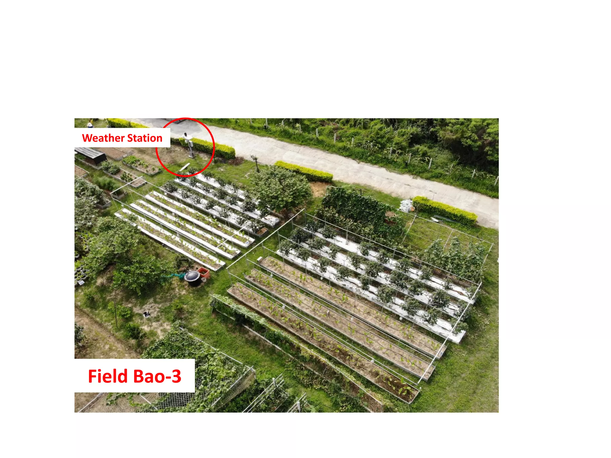Weather Station
Field Bao-3
 