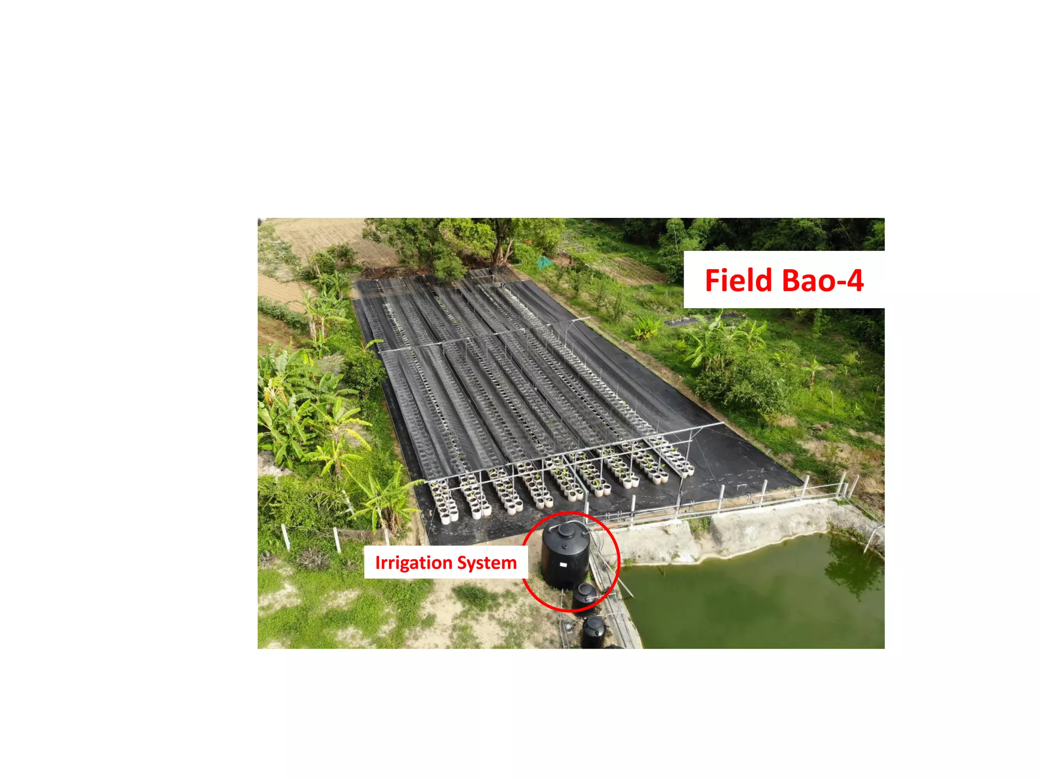 Irrigation System
Field Bao-4
 