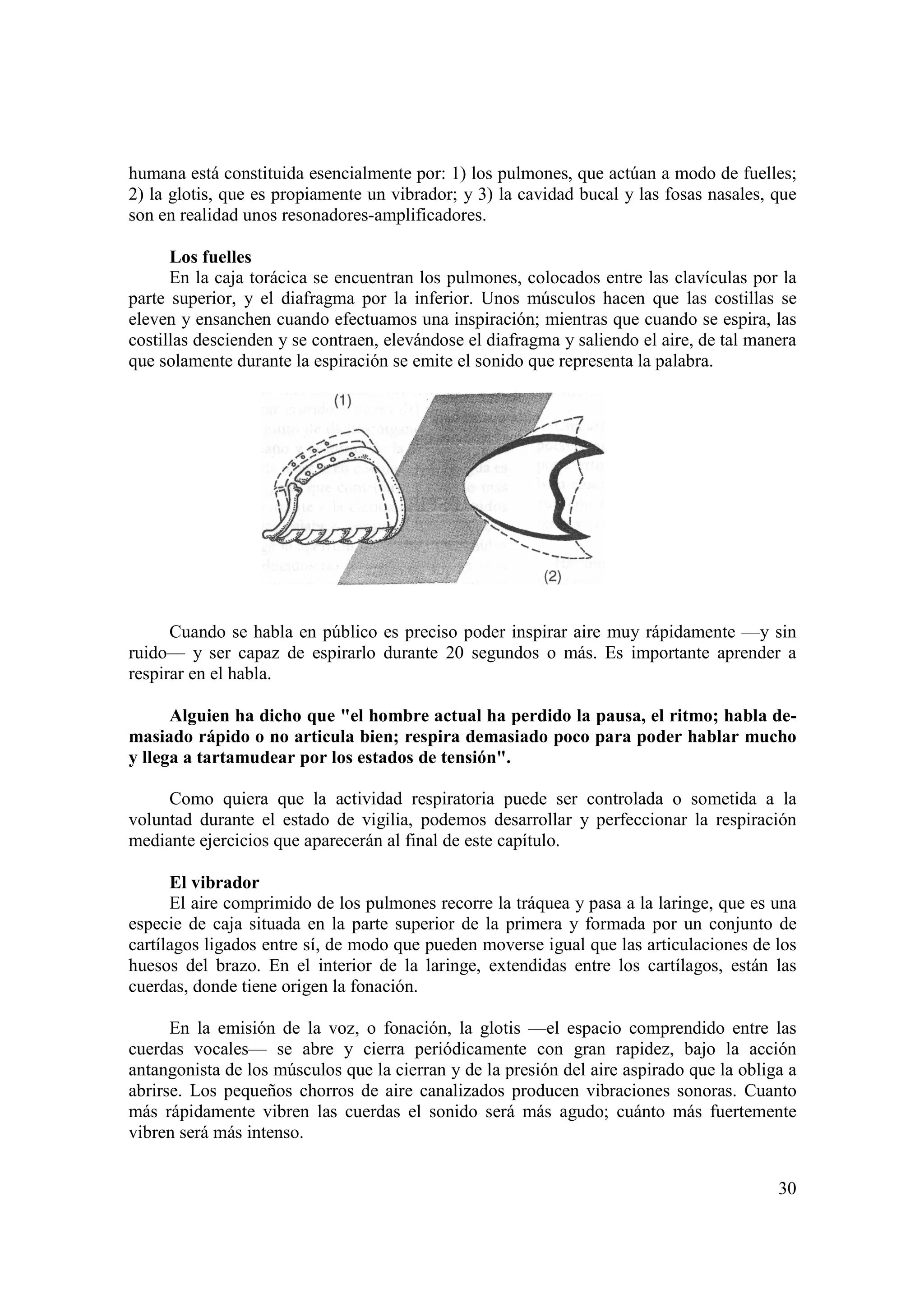 humana está constituida esencialmente por: 1) los pulmones, que actúan a modo de fuelles;
2) la glotis, que es propiamente un vibrador; y 3) la cavidad bucal y las fosas nasales, que
son en realidad unos resonadores-amplificadores.

      Los fuelles
      En la caja torácica se encuentran los pulmones, colocados entre las clavículas por la
parte superior, y el diafragma por la inferior. Unos músculos hacen que las costillas se
eleven y ensanchen cuando efectuamos una inspiración; mientras que cuando se espira, las
costillas descienden y se contraen, elevándose el diafragma y saliendo el aire, de tal manera
que solamente durante la espiración se emite el sonido que representa la palabra.




      Cuando se habla en público es preciso poder inspirar aire muy rápidamente —y sin
ruido— y ser capaz de espirarlo durante 20 segundos o más. Es importante aprender a
respirar en el habla.

      Alguien ha dicho que "el hombre actual ha perdido la pausa, el ritmo; habla de-
masiado rápido o no articula bien; respira demasiado poco para poder hablar mucho
y llega a tartamudear por los estados de tensión".

     Como quiera que la actividad respiratoria puede ser controlada o sometida a la
voluntad durante el estado de vigilia, podemos desarrollar y perfeccionar la respiración
mediante ejercicios que aparecerán al final de este capítulo.

      El vibrador
      El aire comprimido de los pulmones recorre la tráquea y pasa a la laringe, que es una
especie de caja situada en la parte superior de la primera y formada por un conjunto de
cartílagos ligados entre sí, de modo que pueden moverse igual que las articulaciones de los
huesos del brazo. En el interior de la laringe, extendidas entre los cartílagos, están las
cuerdas, donde tiene origen la fonación.

      En la emisión de la voz, o fonación, la glotis —el espacio comprendido entre las
cuerdas vocales— se abre y cierra periódicamente con gran rapidez, bajo la acción
antangonista de los músculos que la cierran y de la presión del aire aspirado que la obliga a
abrirse. Los pequeños chorros de aire canalizados producen vibraciones sonoras. Cuanto
más rápidamente vibren las cuerdas el sonido será más agudo; cuánto más fuertemente
vibren será más intenso.


                                                                                          30
 