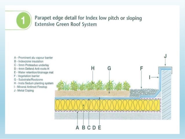 topsoil depth planting xsection seattle topsoil depth planting xsection seattle