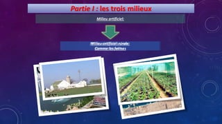 Partie I : les trois milieux
Milieu artificiel:
Milieu artificiel urbain:
Comme les villes
Milieu artificiel rurale:
Comme les fermes
 