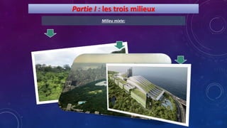 Partie I : les trois milieux
Milieu mixte:
 