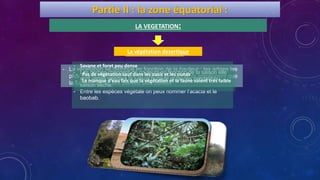 Partie II : la zone équatorial :
- La végétation se distribue en fonction de la hauteur : les arbres les
plus grands dépassent les 40 mètres de haut et ils empêchent que
la lumière arrive aux plantes plus petites.
- Savane et foret peu dense
- Les herbes changent de couleurs en fonction de la saison elle
sont vertes pendant la saison humide et jaunes pendant la
saison sèche.
- Entre les espèces végétale on peux nommer l’acacia et le
baobab.
- Pas de végétation sauf dans les oasis et les oueds
- Le manque d’eau fais que la végétation et la faune soient très faible
LA VEGETATION:
La végétation de la jungleLa végétation tropicalLa végétation desertique
 