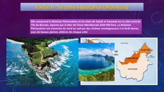 Elle comprend la Malaisie Péninsulaire et les états de Sabah et Sarawak sur la côte nord de
l'île de Bornéo, séparés par la Mer de Chine Méridionale (650-950 km). La Malaisie
Péninsulaire est traversée du nord au sud par des chaînes montagneuses à la forêt dense,
avec de basses plaines côtières de chaque côté
Partie II : la zone équatorial (Malaysia)
 