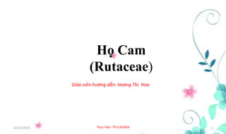 Họ Cam
(Rutaceae)
10/12/2015 Thực hiện: Tổ 4 /A2K69 1
Giáo viên hướng dẫn: Hoàng Thị Hoa
 