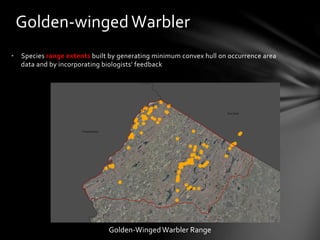 •  Species	
  range	
  extents	
  built	
  by	
  generating	
  minimum	
  convex	
  hull	
  on	
  occurrence	
  area	
  
data	
  and	
  by	
  incorporating	
  biologists'	
  feedback	
  
	
  
Golden-­‐winged	
  Warbler	
  
Golden-­‐Winged	
  Warbler	
  Range	
  
 