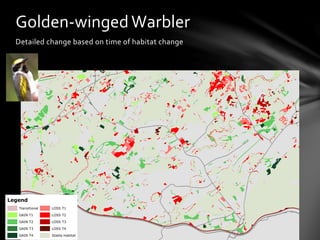 Detailed	
  change	
  based	
  on	
  time	
  of	
  habitat	
  change	
  
Golden-­‐winged	
  Warbler	
  
Legend
Transitional
GAIN T1
GAIN T2
GAIN T3
GAIN T4
LOSS T1
LOSS T2
LOSS T3
LOSS T4
Stable Habitat
 