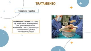 Sobrevida 1 a 5 años: 77 y 61%
Se puede hacer terapia puente
con quimio embolización
transarterial (TACE), ablación por
radiofrecuencia (RFA) o
hepatectomía parcial.
Trasplante Hepático
TRATAMIENTO
 