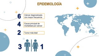 EPIDEMIOLOGÍA
Cáncer diagnosticado
con mayor frecuencia
Causa principal de
mortalidad por cáncer
Tumor más letal
 