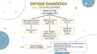 ENFOQUE DIAGNÓSTICO
EHC NO VIRAL, SIN CIRROSIS
• Evaluación serológica de enfermedad hepática no
diagnosticada previamente.
• Marcadores tumorales (AFP, CA 19-9, antígeno
carcinoembrionario)
• Imágenes (TC o RM)
Diagnóstico de
CHC
Diagnostico incierto
con imágenes y
lesión ≥ 1 cm
Características típicas de
CHC y AFP > 400 ng/ml
*no es necesaria la biopsia*
Obtener TC o RM
con contraste y AFP
Si la lesión crece
mas 1 cm.
Hacer imágenes
repetidas cada 3 – 6
meses por al menos 2
años siempre que no
haya cambios.
Establecer el
diagnostico o
realizar una
biopsia.
SIN ENFERMEDAD
HEPÁTICA CRÓNICA
 