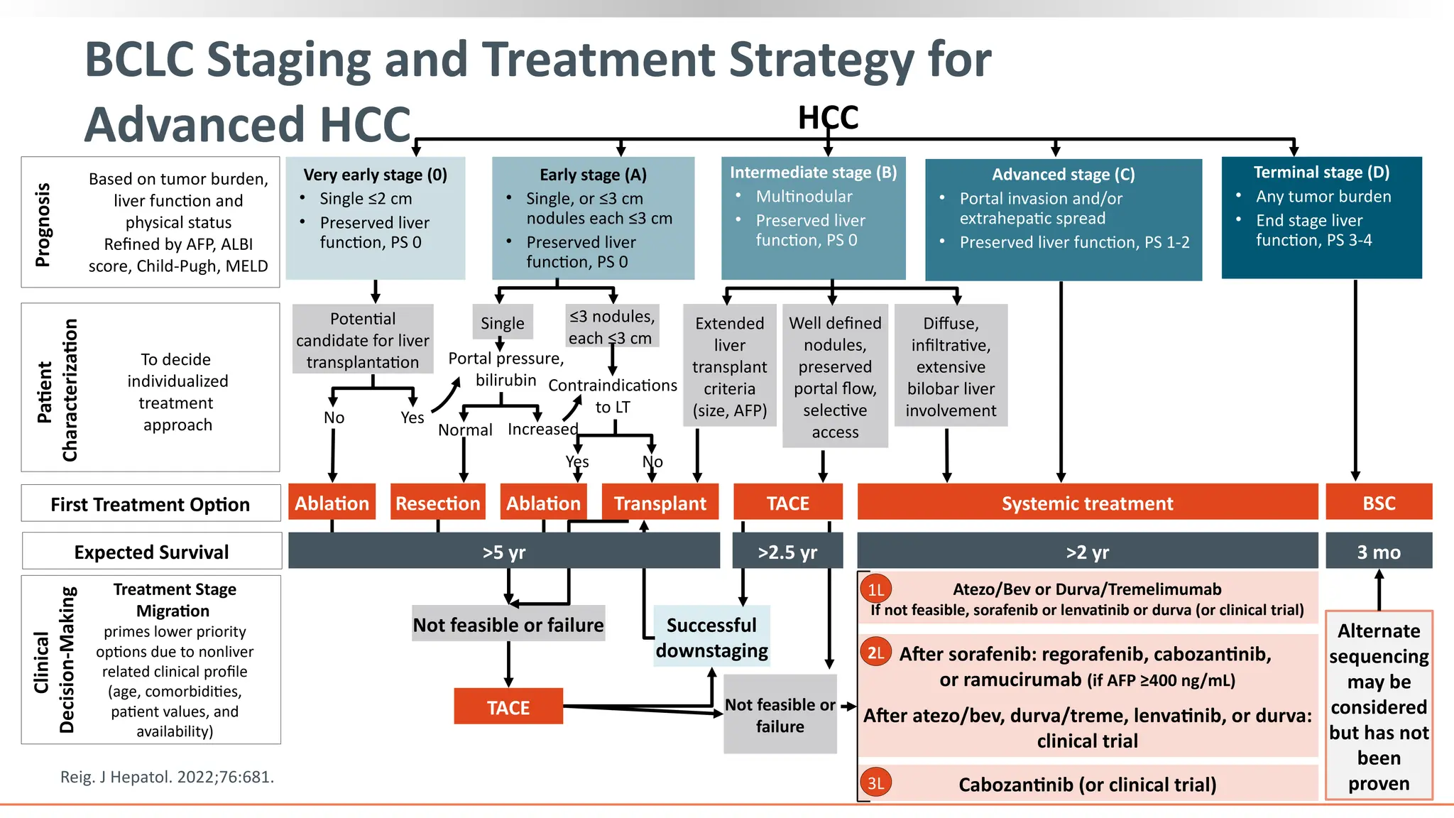 Advanced Hcc hepatocellular carcinoma.recent advancement | PPTX
