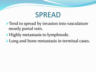 SPREAD
Tend to spread by invasion into vasculature
mostly portal vein.
Highly metastasis to lymphnode.
Lung and bone metastasis in terminal cases.
 