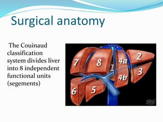 Surgical anatomy
The Couinaud
classification
system divides liver
into 8 independent
functional units
(segements)
 