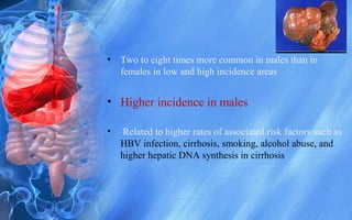 • Two to eight times more common in males than in
females in low and high incidence areas
• Higher incidence in males
• Related to higher rates of associated risk factors such as
HBV infection, cirrhosis, smoking, alcohol abuse, and
higher hepatic DNA synthesis in cirrhosis
 