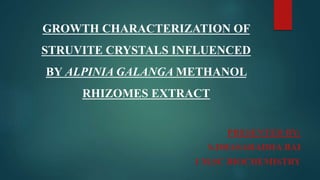 GROWTH CHARACTERIZATION OF
STRUVITE CRYSTALS INFLUENCED
BY ALPINIA GALANGA METHANOL
RHIZOMES EXTRACT
PRESENTED BY:
S.DHASARADHA BAI
I M.SC BIOCHEMISTRY
 