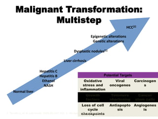 Malignant Transformation:
              Multistep
                                                                                      HCC[2]

                                                            Epigenetic alterations
                                                             Genetic alterations

                                                Dysplastic nodules[1]

                                         Liver cirrhosis

                       Hepatitis C
                       Hepatitis B                                    Potential Targets
                        Ethanol                        Oxidative             Viral          Carcinogen
                         NASH                          stress and         oncogenes              s
                                                     inflammation
    Normal liver
                                                         Growth            Telomere           Cancer
                                                         factors          shortening        stem cells
                                                                Loss of cell           Antiapopto Angiogenes
                                                                      cycle                  sis      is
                                                                checkpoints
1. Tornillo L, et al. Lab Invest. 2002;82:547-553. 2. Verslype C, et al. AASLD 2007. Abstract 24.
 