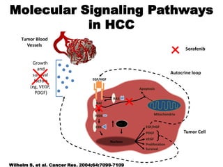 Molecular Signaling Pathways
           in HCC
     Tumor Blood
       Vessels
                                                                                 Sorafenib

         Growth
            and
         survival                                                          Autocrine loop
          factors                 EGF/HGF

        (eg, VEGF,                                      Apoptosis
          PDGF)
                                             RAS
                                   RAF


                                   MEK                          Mitochondria

                                                HIF-2
                                   ERK                     EGF/HGF
                                                           PDGF                  Tumor Cell
                                                           VEGF
                                            Nucleus
                                                           Proliferation
                                                           Survival



Wilhelm S, et al. Cancer Res. 2004;64:7099-7109.
 