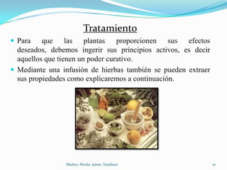 Tratamiento
 Para    que las plantas proporcionen sus efectos
  deseados, debemos ingerir sus principios activos, es decir
  aquellos que tienen un poder curativo.
 Mediante una infusión de hierbas también se pueden extraer
  sus propiedades como explicaremos a continuación.




                Muñoz, Nivelo, Jaime, Tumbaco                  10
 