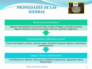 Boldo (peumus boldus)
    Digestivo estimulante de la secreción biliar, tonifica el hígado, activando el sistema
         digestivo diurético contra el exceso del acido úrico, gastritis, indigestión.



                         Chancha piedra (pillanthus niruni)
Protector del hígado y riñones, cálculos renales, desinfecta el aparato digestivo, antioxidante
                                      antiinflamatorio.



                            Linaza ( linum usitatissiuml)
   Antiinflamatorio, diabetes, reduce peso, problemas respiratorios, regenerador celular
                                       hemorroides.

                        Muñoz, Nivelo, Jaime, Tumbaco                                         12
 