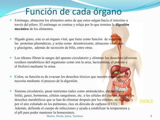 Función de cada órgano
 Estómago, almacena los alimentos antes de que estos salgan hacia el intestino a
  través del píloro. El estómago se contrae y relaja por lo que termina la digestión
  mecánica de los alimentos.

 Hígado graso, este es un órgano vital, que tiene como función de sintetizar
  las proteínas plasmáticas, y actúa como desintoxicarte, almacena vitaminas
  y glucógeno, además de secreción de bilis, entre otras.

 Los riñones filtran la sangre del aparato circulatorio y eliminar los desechos (diversos
  residuos metabólicos del organismo como son la urea, lacreatinina, el potasio y
  el fósforo) mediante la orina.

 Colon, su función es de evacuar los desechos tóxicos que nuestro organismo no
  necesita mediante el proceso de la digestión.

 Sistema circulatorio, pasar nutrientes (tales como aminoácidos, electrolitos y
  linfa), gases, hormonas, células sanguíneas, etc. a las células del cuerpo, recoger los
  desechos metabólicos que se han de eliminar después por los riñones, en la orina, y        INDICE
  por el aire exhalado en los pulmones, rico en dióxido de carbono (CO2).
  Además, defiende el cuerpo de infecciones y ayuda a estabilizar la temperatura y
  el pH para poder mantener la homeostasis.
                          Muñoz, Nivelo, Jaime, Tumbaco                                          8
 