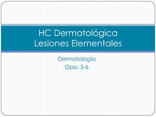 HC Dermatológica
Lesiones Elementales
     Dermatología
       Gpo. 5-6
 