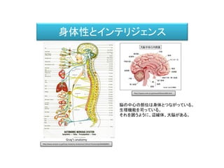 身体性とインテリジェンス
Gray’s anatomy
脳の中心の部位は身体とつながっている。
生理機能を司っている。
それを囲うように、辺縁体、大脳がある。
http://square.umin.ac.jp/neuroinf/brain/005.html
http://www.amazon.co.jp/Grays-Anatomy-Anatomical-Clinical-Practice/dp/0443066841
 