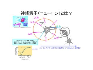 神経素子（ニューロン）とは？
入力
入力
入力
出力
入力
この中にはイオン（電解,Na+,K+）
溶液が入っていて、入力によって電圧が
高まると出力する仕組みになっています。
100mVぐらい
ニューラルネットワーク内シグナル伝達スピード 100(m/sec) … 案外遅い
http://www.brain.riken.go.jp/jp/aware/neurons.html
 