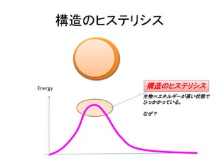構造のヒステリシス
Energy
生物＝エネルギーが高い状態で
ひっかかっている。
なぜ？
構造のヒステリシス
 