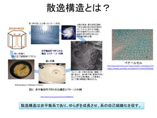 散逸構造とは？
http://www.jst.go.jp/pr/announce/20090522/
http://www.applc.keio.ac.jp/~asakura/asakura_j/dissipative.html
散逸構造は非平衡系であり、ゆらぎを成長させ、系の自己組織化を促す。
ベナールセル
https://www.youtube.com/watch?v=UhImCA5DsQ0
 