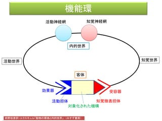 機能環
前野佳彦訳・ユクスキュル「動物の環境と内的世界」 （みすず書房）
効果器 受容器
客体
活動神経網 知覚神経網
知覚世界活動世界
知覚微表担体
対象化された機構
活動担体
内的世界
 