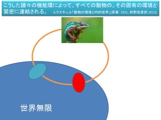 世界無限
こうした諸々の機能環によって、すべての動物の、その固有の環境と
緊密に連結される。 ユクスキュル「動物の環境と内的世界」(原著：1921, 前野佳彦訳:2012)
 