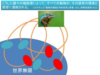 世界無限
こうした諸々の機能環によって、すべての動物の、その固有の環境と
緊密に連結される。 ユクスキュル「動物の環境と内的世界」(原著：1921, 前野佳彦訳:2012)
 