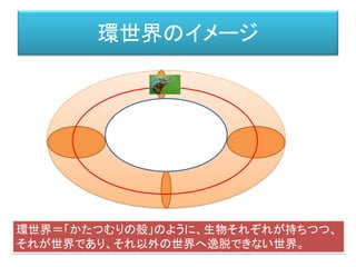 環世界のイメージ
環世界＝「かたつむりの殻」のように、生物それぞれが持ちつつ、
それが世界であり、それ以外の世界へ逸脱できない世界。
 