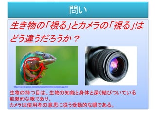 問い
生き物の「視る」とカメラの「視る」は
どう違うだろうか？
http://www.free-picture.net/reptiles/lizards/chameleon-wallpapers.jpg.html
生物の持つ目は、生物の知能と身...