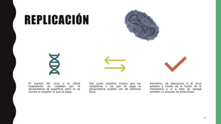 REPLICACIÓN
El ingreso del virus a la célula
hospedante es mediado por la
glicoproteína de superficie, pero no se
conoce el receptor al que se pega.
Hay quien sostiene incluso que los
receptores a los que se pega la
glicoproteína pueden ser de distintos
tipos.
Asimismo, se desconoce si el virus
penetra a través de la fusión de la
membrana o si a esto se agrega
también un proceso de endocitosis.
6
 
