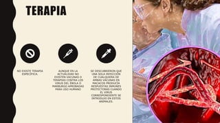 TERAPIA
NO EXISTE TERAPIA
ESPECÍFICA.
AUNQUE EN LA
ACTUALIDAD NO
EXISTEN VACUNAS O
TERAPIAS CONTRA LOS
VIRUS DEL ÉBOLA O
MARBURGO APROBADAS
PARA USO HUMANO
SE DESCUBRIERON QUE
UNA SOLA INYECCIÓN
DE CUALQUIERA DE
AMBAS VACUNAS EN
MACACOS PRODUCÍA
RESPUESTAS INMUNES
PROTECTORAS CUANDO
EL VIRUS
CORRESPONDIENTE SE
INTRODUJO EN ESTOS
ANIMALES.
9
 