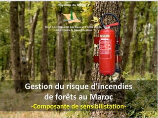 Gestion du risque d’incendies
de forêts au Maroc
-Composante de sensibilistation-
Royaume du Maroc
Haut Commissariat aux Eaux et Forêts et à la
Lutte Contre la Désertification
 