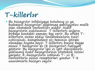 T-killerlər
 Bu hüceyrələr infeksiyaya tutulmuş və ya
bədxassəli hüceyrələri dağıtmaq qabiliyyətinə malik
olan sitotoksik limfositlərə aiddir. Hədəf
hüceyrələrin zədələnməsi T-killerlərlə onların
birbaşa kontaktı zamanı baş verir. Bu effekt T-
killerlərin sintez etdiyi limfatoksinlərin təsiri
nəticəsində, komplement sis-teminin iştirakı
olmadan həyata keçir. T-killerlərə bənzər başqa
xüsusi T hüceyrələr də (K hüceyrələr) fəaliyyat
göstərir. Bu hüceyrələr İgG və İgM əkscisimlərlə
yüklənmiş hədəf hüceyrələrinin sitotoksik lizisini
yaradır. K-hüceyrələrin səthində T- və B-
limfositlorin xüsusi reseptorları yoxdur. T-k
uzunömürlü hüceyrə sayılır.
 