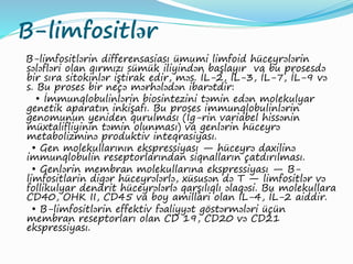 B-limfositlər
B-limfositlərin differensasiası ümumi limfoid hüceyrələrin
sələfləri olan qırmızı sümük iliyindən başlayır va bu prosesdə
bir sıra sitokinlər iştirak edir, məs. İL-2, İL-3, İL-7, İL-9 və
s. Bu proses bir neçə mərhələdən ibarətdir:
• İmmunqlobulinlərin biosintezini təmin edən molekulyar
genetik aparatın inkişafı. Bu proses immunqlobulinlərin
genomunun yeniden qurulması (İg-rin variabel hissənin
müxtalifliyinin təmin olunması) va genlərin hüceyrə
metabolizminə produktiv inteqrasiyası.
• Gen molekullarının ekspressiyası — hüceyrə daxilinə
immunqlobulin reseptorlarından siqnalların çatdırılması.
• Genlərin membran molekullarına ekspressiyası — B-
limfositlarin digər hüceyrələrlə, xüsusən də T — limfositlər və
follikulyar dendrit hüceyrələrlə qarşılıqlı əlaqəsi. Bu molekullara
CD40, OHK II, CD45 va boy amillari olan İL-4, İL-2 aiddir.
• B-limfositlərin effektiv fəaliyyət göstərmələri üçün
membran reseptorları olan CD 19, CD20 və CD21
ekspressiyası.
 