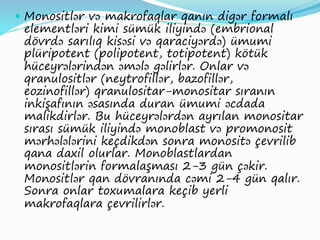  Monositlər və makrofaqlar qanın digər formalı
elementləri kimi sümük iliyində (embrional
dövrdə sarılıq kisəsi və qaraciyərdə) ümumi
plüripotent (polipotent, totipotent) kötük
hüceyrələrindən əmələ gəlirlər. Onlar və
qranulositlər (neytrofillər, bazofillər,
eozinofillər) qranulositar-monositar sıranın
inkişafının əsasında duran ümumi əcdada
malikdirlər. Bu hüceyrələrdən ayrılan monositar
sırası sümük iliyində monoblast və promonosit
mərhələlərini keçdikdən sonra monositə çevrilib
qana daxil olurlar. Monoblastlardan
monositlərin formalaşması 2-3 gün çəkir.
Monositlər qan dövranında cəmi 2-4 gün qalır.
Sonra onlar toxumalara keçib yerli
makrofaqlara çevrilirlər.
 