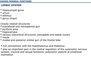 Uncus Brain Function The physiology of the higher cerebellar functions | PPT